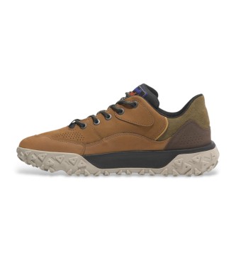 Timberland Zapatillas de piel Greenstride Motion 6 Low marrn