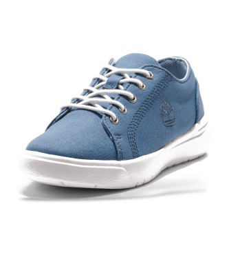 Timberland Niebieskie sznurowane buty sportowe Seneca Bay