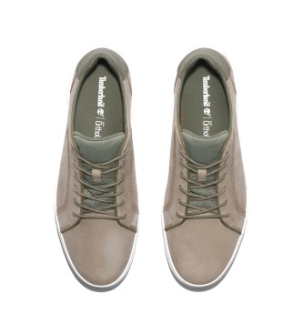 Timberland Seneca Bay taupe lederen sportschoenen met lage bovenkant