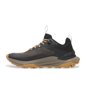 Timberland Brązowe skórzane buty sportowe Motion Access