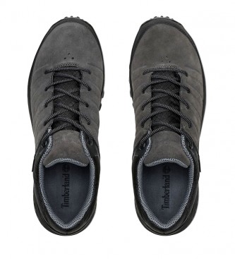 parker ridge low gtx