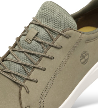 Timberland Leather Sneakers Senena Bay green