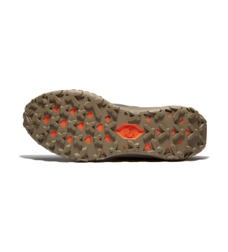 Timberland Sneakers grigie Motion Access