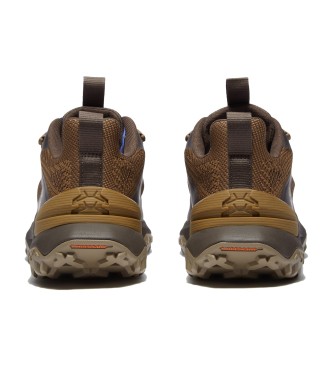 Timberland Sneakers Motion Access in marrone verdastro