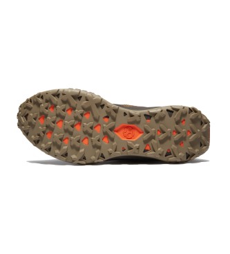 Timberland Sneakers Motion Access in marrone verdastro