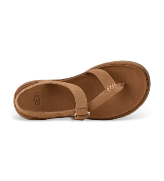 UGG GoldenGaze Toe Post Brown Leather Sandals