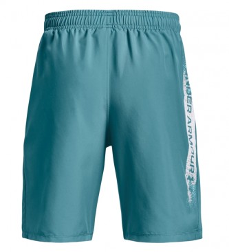 Under Armour UA Woven Graphic Shorts blauw