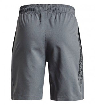 Under Armour UA Woven Graphic Shorts grey