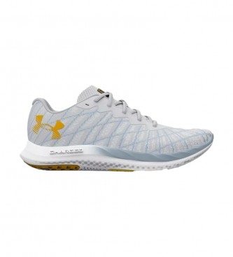 Under Armour UA Charged Breeze 2 Sko Gr