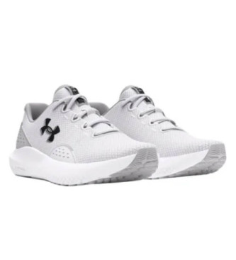 Under Armour Chaussures UA Charged Surge 4 grises