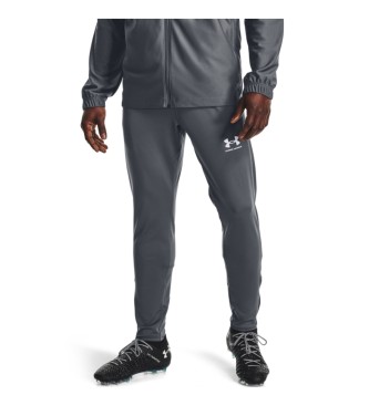 Under Armour UA Challenger Training Pant grey