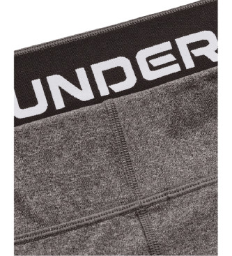 Under Armour Legging ColdGear Authentics grijs