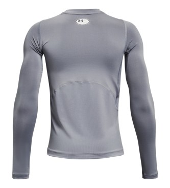 Under Armour HG LS gr T-shirt