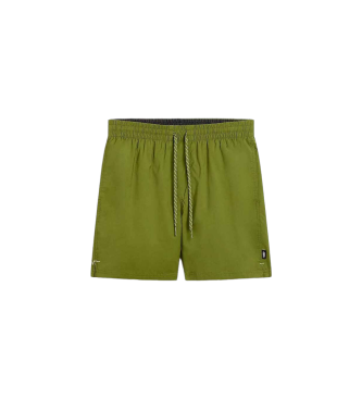 Vans Primary Solid Elastic swimming costume green  