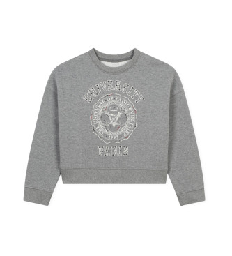 Zadig & Voltaire Grey fantasy sweatshirt