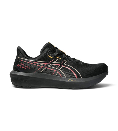 ASICS Zapatillas 15 GTX Negro