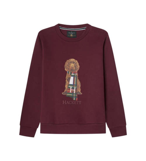 Comprare Hackett London Felpa color castagna di Harry