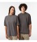 Lacoste T-shirt unissexo com logÃ³tipo cinzento