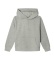 Comprar Pepe Jeans Sweatshirt com capuz Artie cinzento