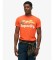Comprare Superdry Maglietta Great Outdoors Relaxed arancione
