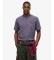 Comprare Superdry Maglietta Grafica Vintage Athletic Essential Grigia