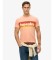 Comprar Superdry Camiseta Terrain Logo Stripe Relaxed naranja
