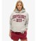 Comprare Superdry Felpa con cappuccio ESS Relaxed grigia