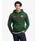 Köp Superdry Luvtröja Outdoors Stripe Logo grön
