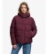 Buy Superdry Premium burgundy hooded jacket
