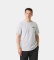 Comprare Helly Hansen Maglietta Nord Graphic grigia