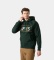 Acheter Helly Hansen Sweat à capuche Elevate vert