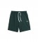 BOSS CW Shorts Green