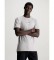 Calvin Klein Jeans T-shirt Monologo Regular grey