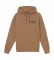 Calvin Klein Seasonal Blocked Logo sweatshirt brown