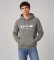 Buy EA7 Teo gray sweatshirt
