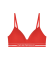 Buy Emporio Armani Day coral bra