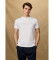 Buy Hackett London T-shirt with classic fit logo white