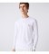 Lacoste T-shirt Branco redondo pescoÃ§o