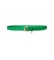 Comprar Lauren Ralph Lauren Cinturón de piel grabada con abalorio verde