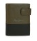 Buy Pepe Jeans Dual leather wallet with click closure Khaki Green