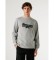 Comprare Pepe Jeans Felpa Gus grigia