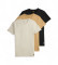 Acheter Polo Ralph Lauren Lot de 3 t-shirts à col ras du cou blanc, marron, noir