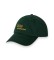 Buy Polo Ralph Lauren Twill cap with embroidered logo green