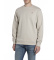 Buy Replay Taupe casual sweatshirt
