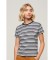 Buy Superdry T-shirt with stripes and logo Essential blue