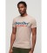 Kopen Superdry Venue Duo logo T-shirt beige