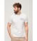 Buy Superdry Vintage Heritage logo T-shirt light grey