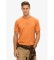 K�b Superdry Grafisk Utility Sport T-shirt orange