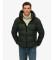 Comprar Superdry Casaco acolchoado Colorblock verde