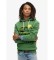 Comprar Superdry Casaco com capuz gráfico Great Outdoors verde